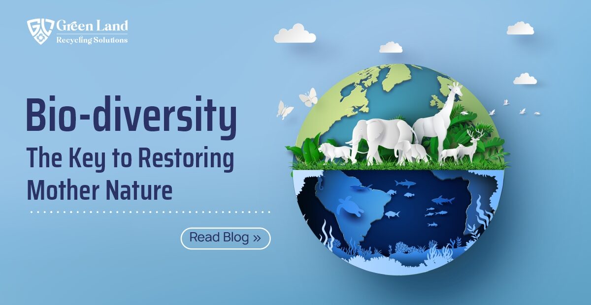 Biodiversity: The Key to Restoring Mother Nature