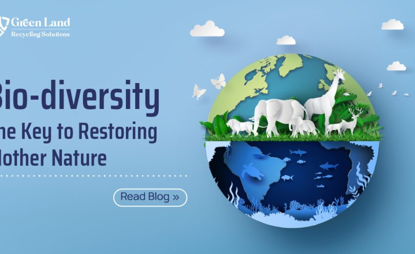 Biodiversity: The Key to Restoring Mother Nature