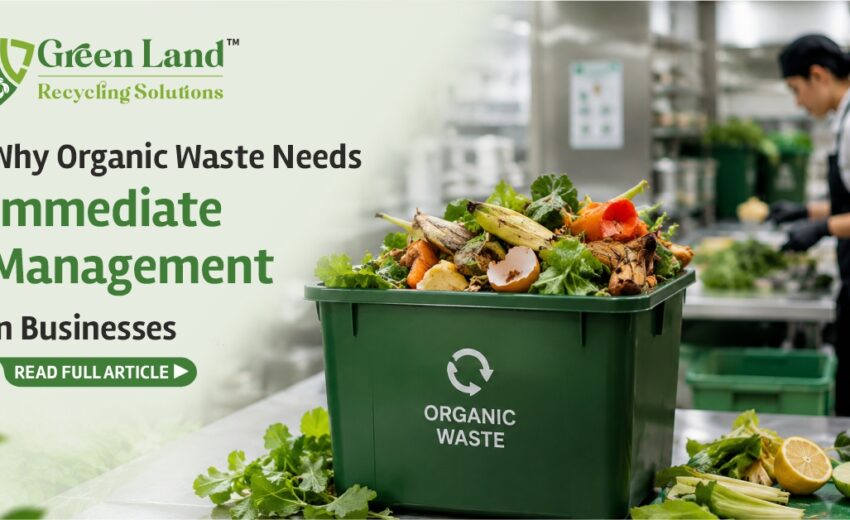 Why Organic Waste Needs Immediate Management in Businesses